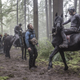 Illustration for article titled First image from emDawn of the Planet of the Apes/em changes everything